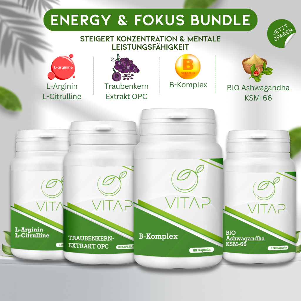 Vitap – Energy & Fokus Bundle